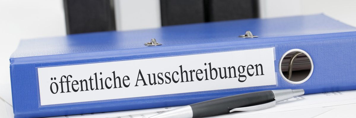 The photo shows a lying blue file folder. The spine of the file reads "public tender".