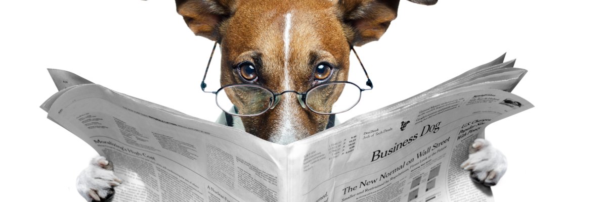 The photo shows a dog with glasses on its nose. He is reading a newspaper, which he is holding in his paws in front of him.