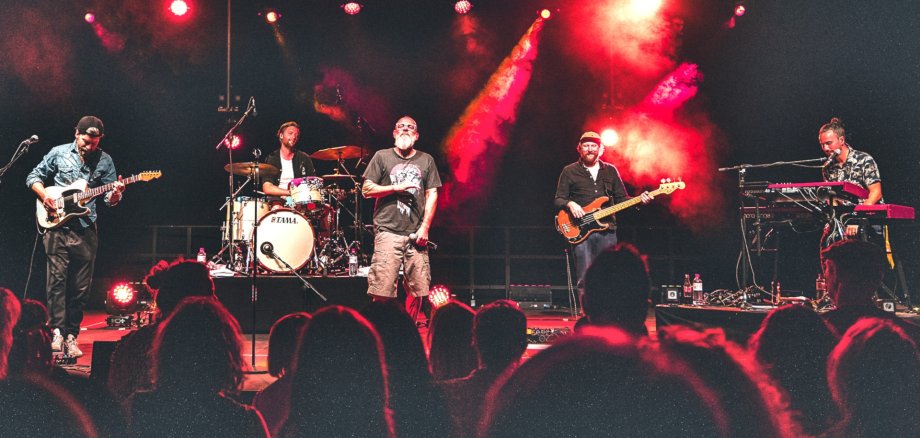 The photo shows the musicians on stage during the concert, with the heads of the audience in the foreground.