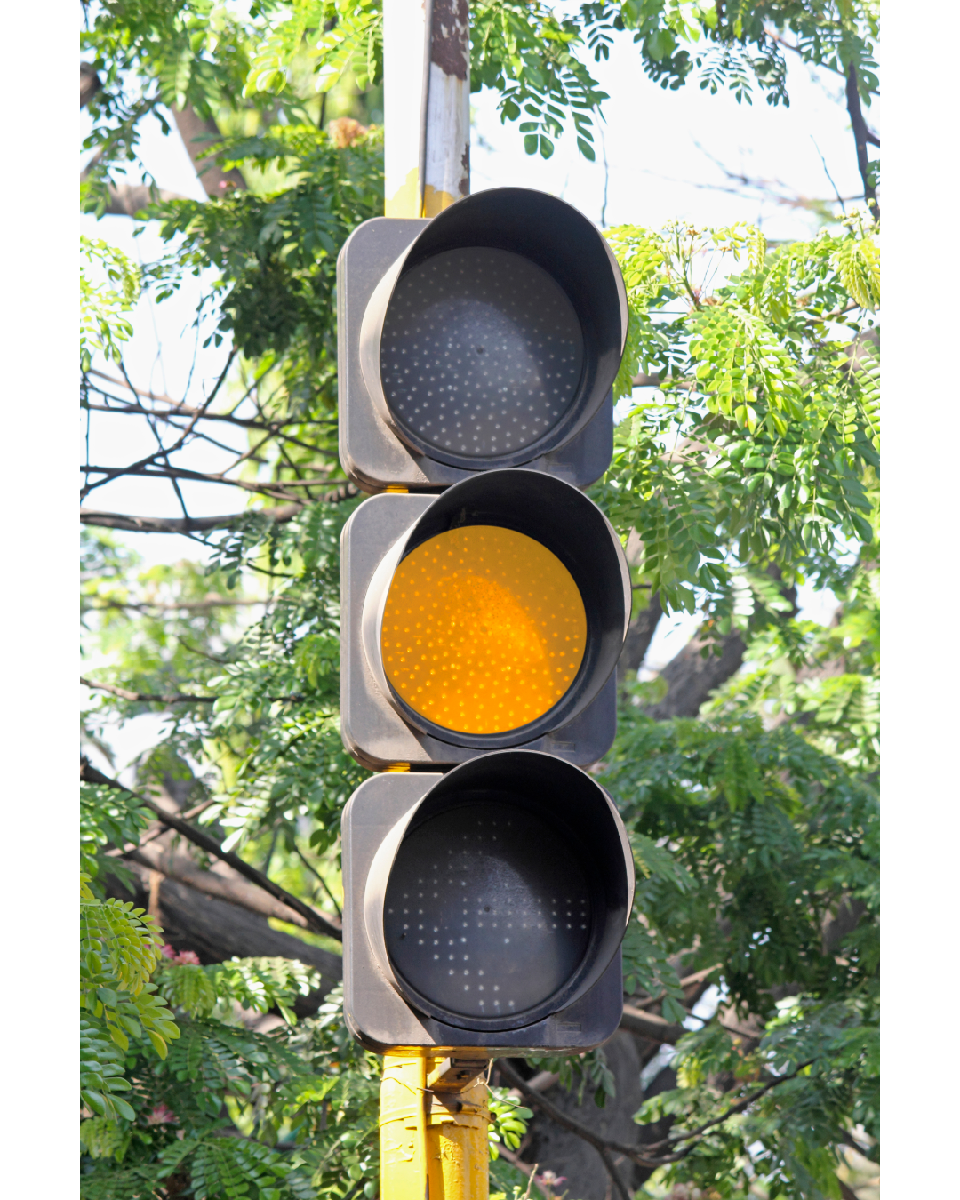 Design without title - 1