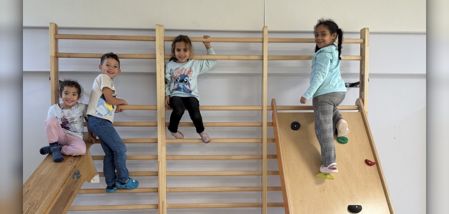 The photo shows some children climbing on the wall bars.
