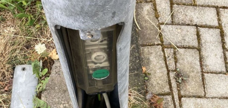 The photo shows a damaged lighting column.