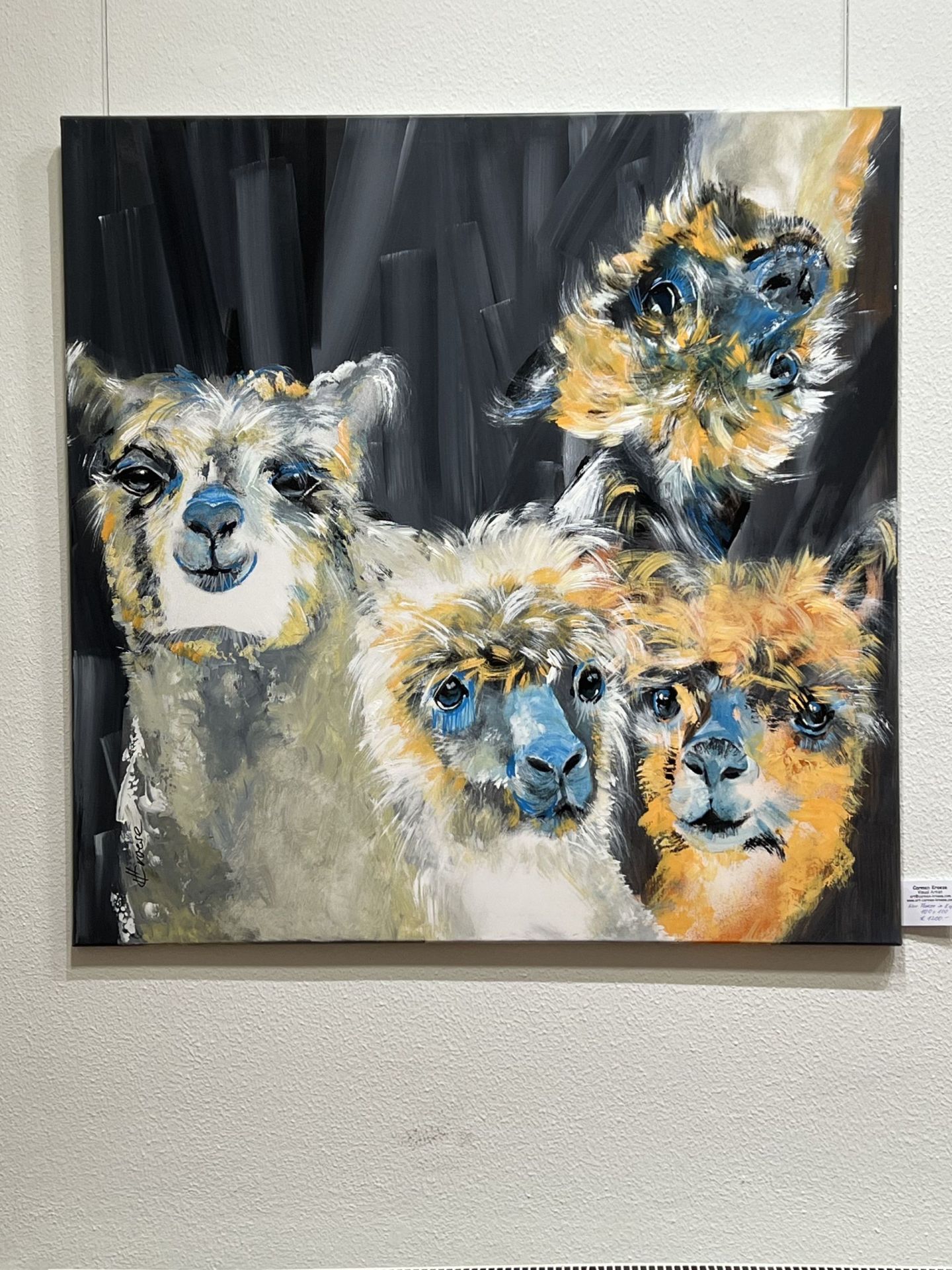 The photo shows a picture from the exhibition with three alpacas.