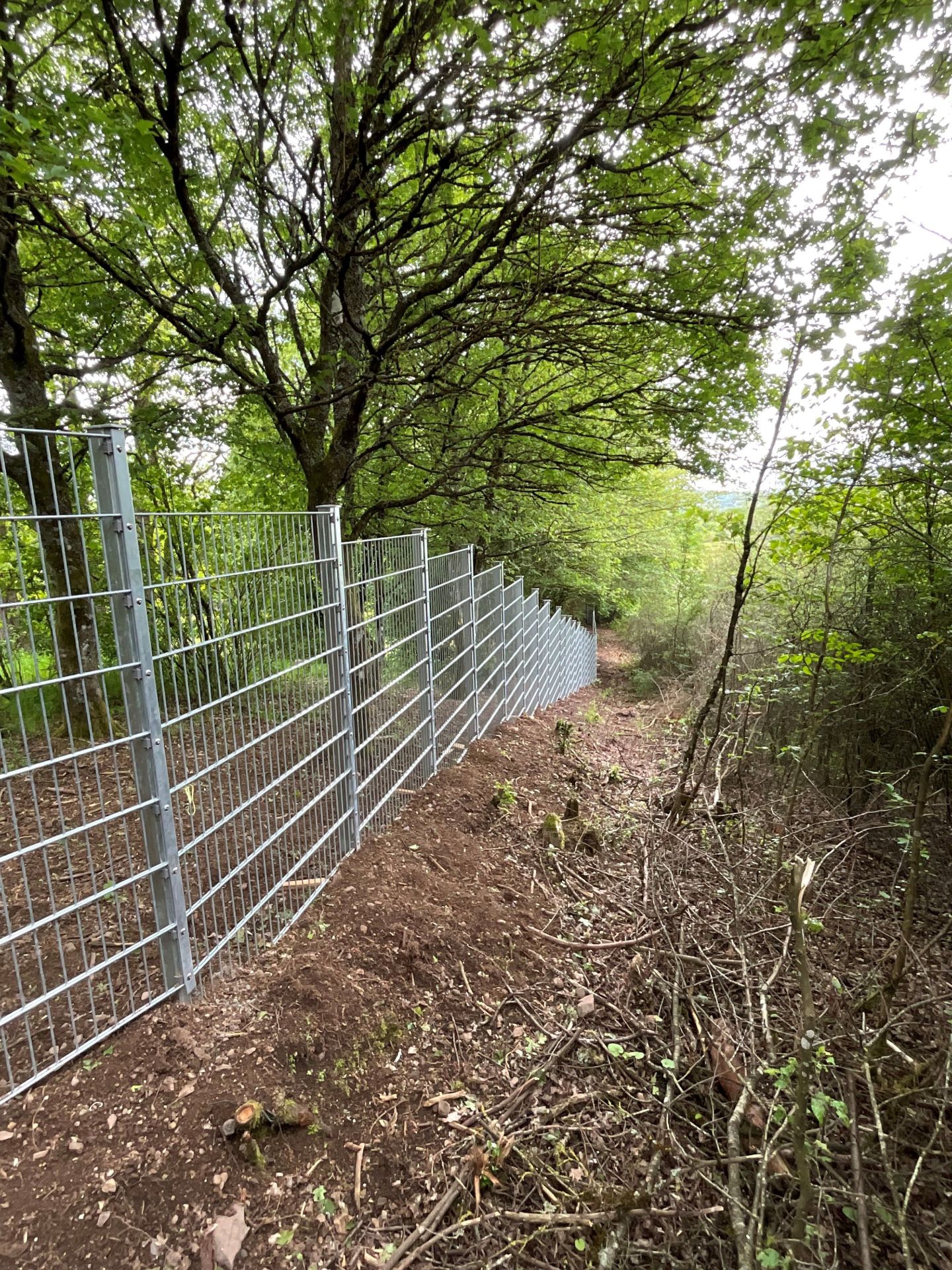 The photo shows the newly installed bar fence at the Algenrodt cemetery.