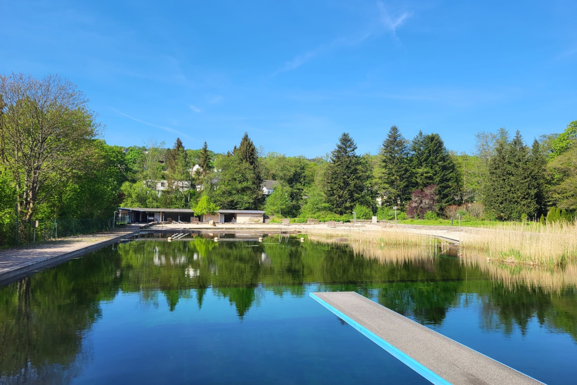La photo montre une vue sur le bassin de natation de la piscine naturelle. Les vestiaires sont visibles en arrière-plan.