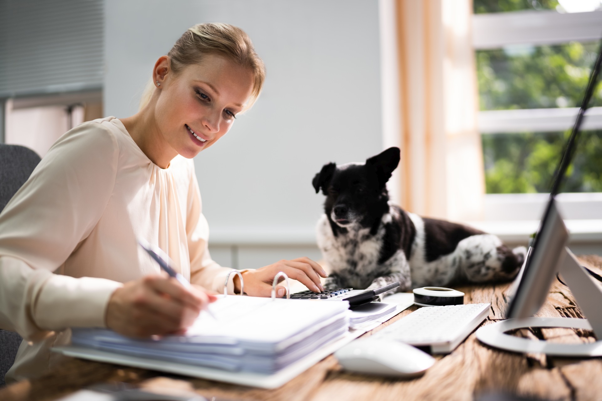La photo montre un chien allongé sur le bureau de sa maîtresse, qui est en train de faire de la paperasse devant un ordinateur.