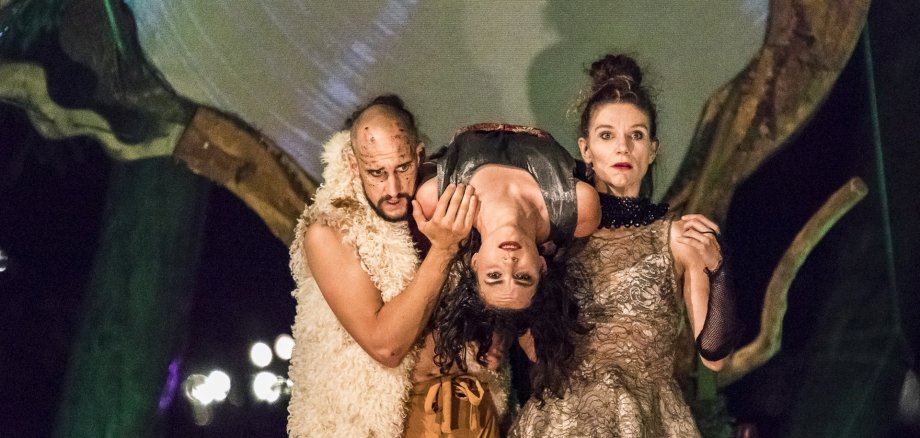 Photo de scène de la production "Dreamer".