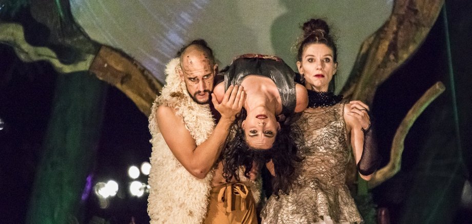 Photo de scène de la production "Dreamer".