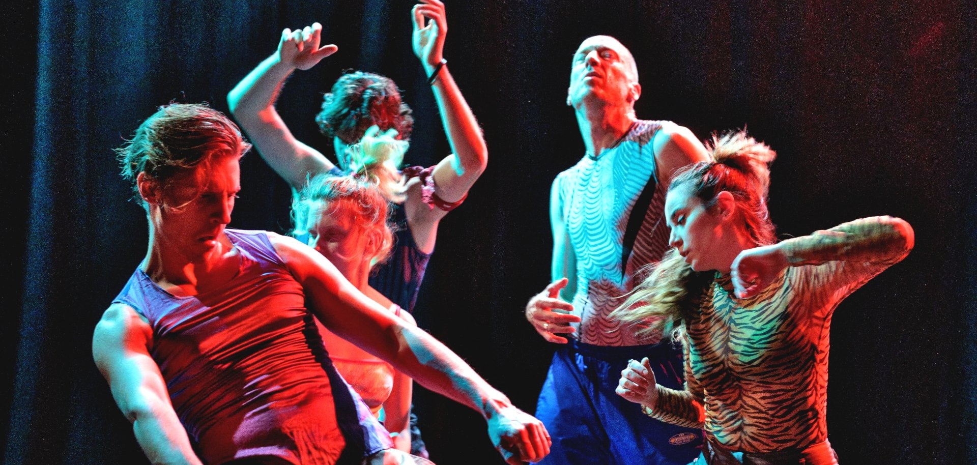 On y voit cinq danseurs en train de réaliser une performance.