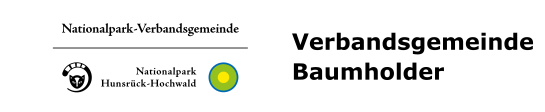 Logo VG Baumholder