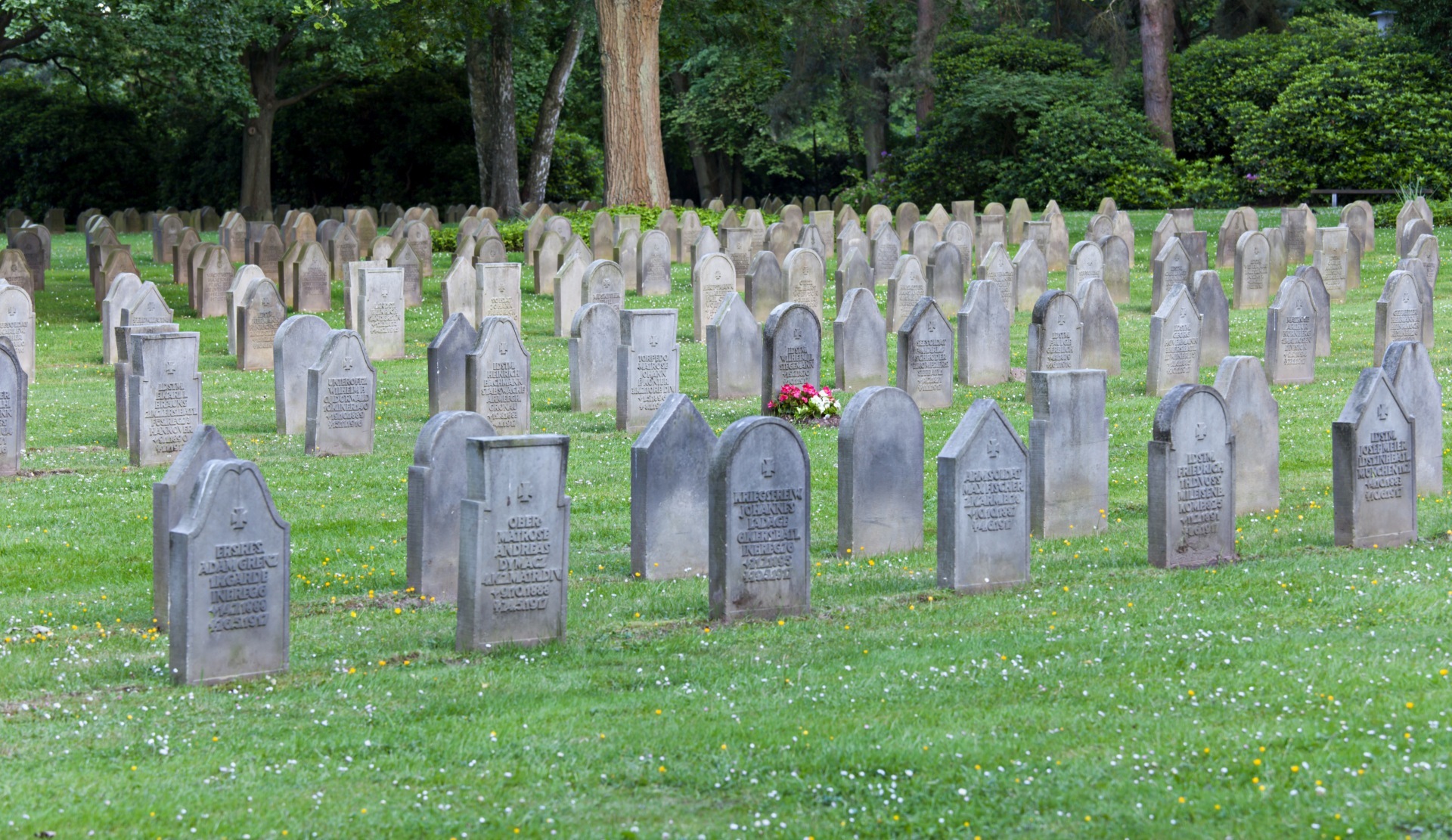 Das Foto zeigt einen Friedhof mit langen Reihen von Grabsteinen. Vor einem der Grabsteine sind frische Blumen gepflanzt.