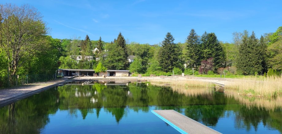 Das Foto zeigt einen Blick über das Schwimmerbecken des Naturbades. Im Hintergrund sind die Umkleidekabinen zu sehen.