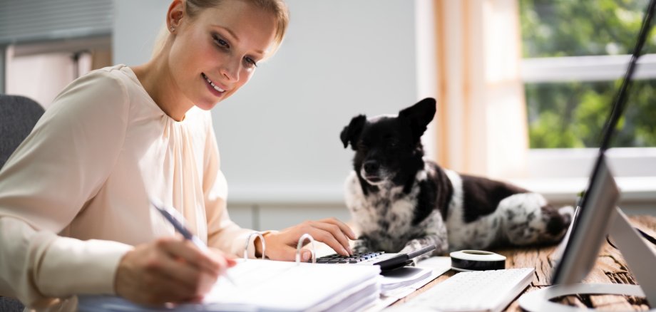 Das Foto zeigt eine Hund der auf dem Schreibtisch seines Frauchens liegt, die gerade Papierkram vor einem Rechner erledigt.