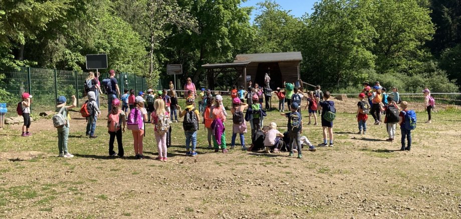 Die Kinder der Kita Algenrodt, der Kita Enzweiler und der Grundschule Algenrodt haben auf dem Schürffeld des Steinkaulenberges nach Edelsteinen gesucht. 