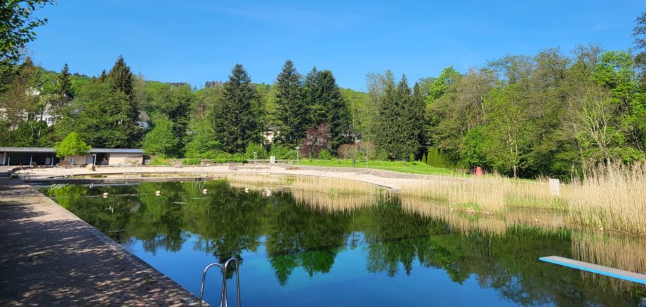 Das Foto zeigt einen Blick auf das Schwimmbecken des Naturbades.