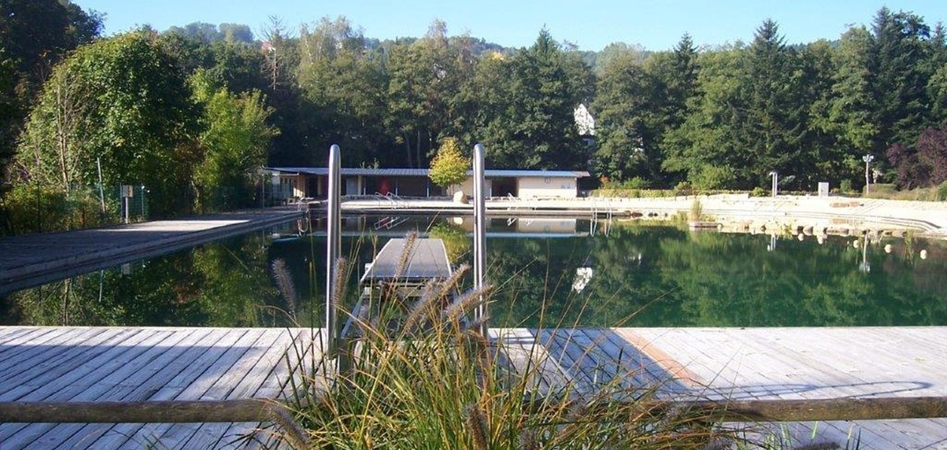 Das Foto zeigt einen Blick auf das Schwimmbecken des Naturbades.