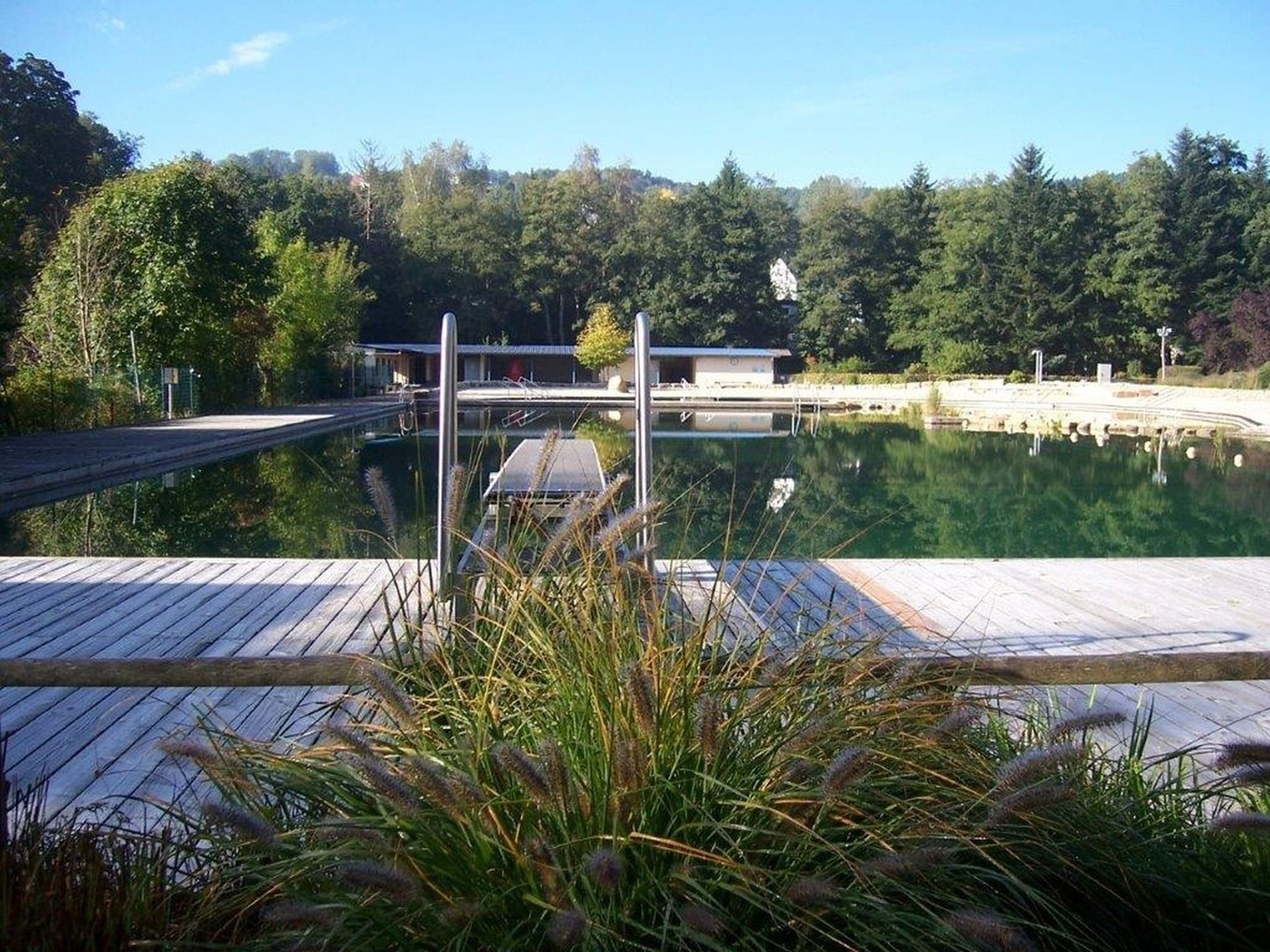 Das Foto zeigt einen Blick auf das Schwimmbecken des Naturbades Staden.